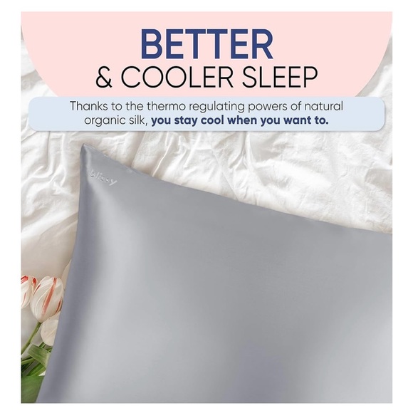 NIB Blissy Silk Pillowcase King Size Silver - Picture 4 of 10